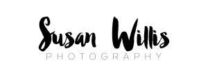 susan willis photography
