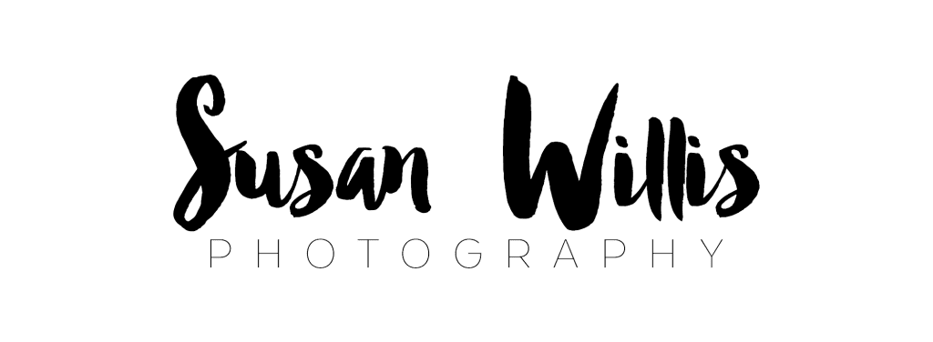 susan willis logo