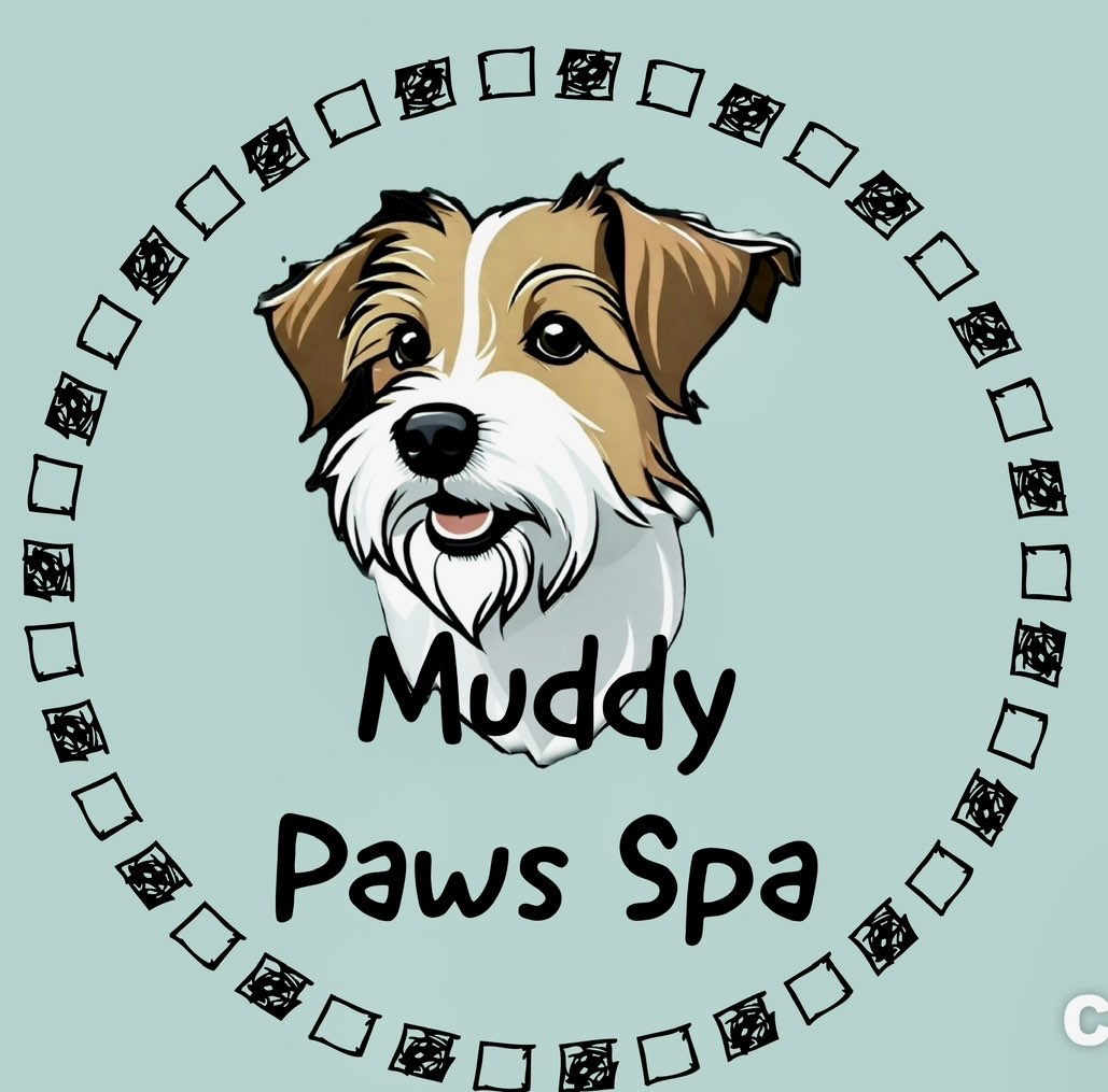 Dog Pet Photography Sponsor