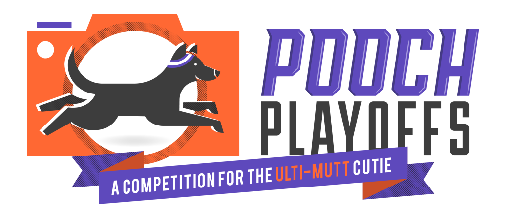 Dog Pet Photography Vote